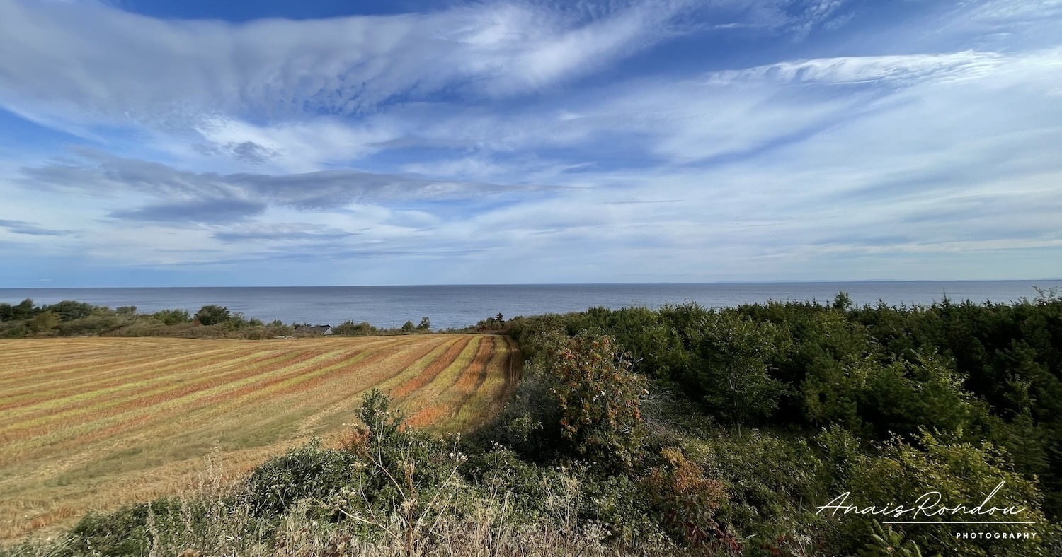 Que faire au lac Saint-Jean : 7 incontournables à faire et voir lors de votre visite