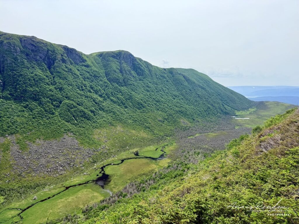 Ruisseau passant dans une vallée observé depuis la descente du Mont Gros-Morne