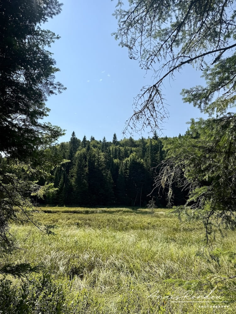 Paysage naturel sur le sentier des chutes Waber en Mauricie