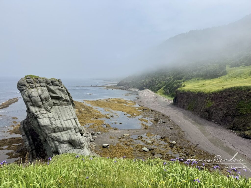 sentier Green Gardens Gros-Morne Bout du sentier Green Gardens au parc national du Gros-Morne avec ses falaises et rochers