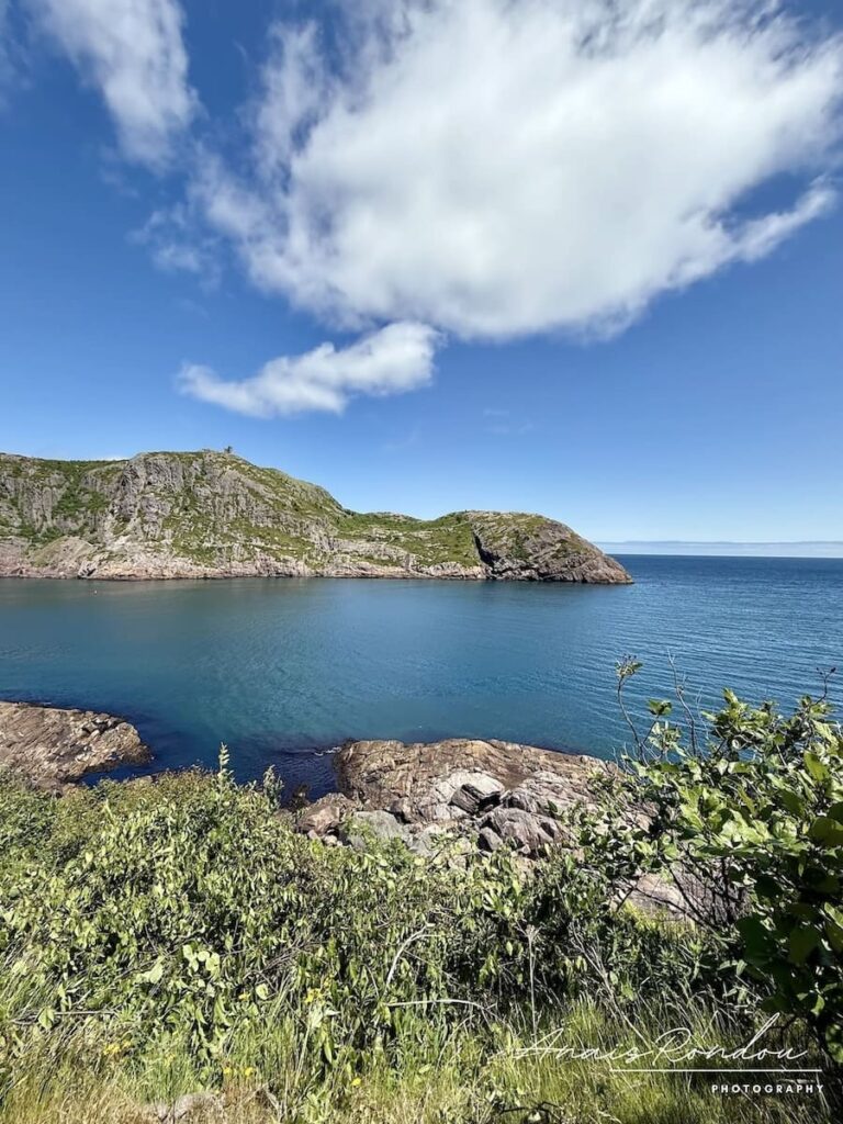 Vue sur Signal Hill depuis le Fort Amherst sous un ciel bleu avec un nuage blanc à Saint John's