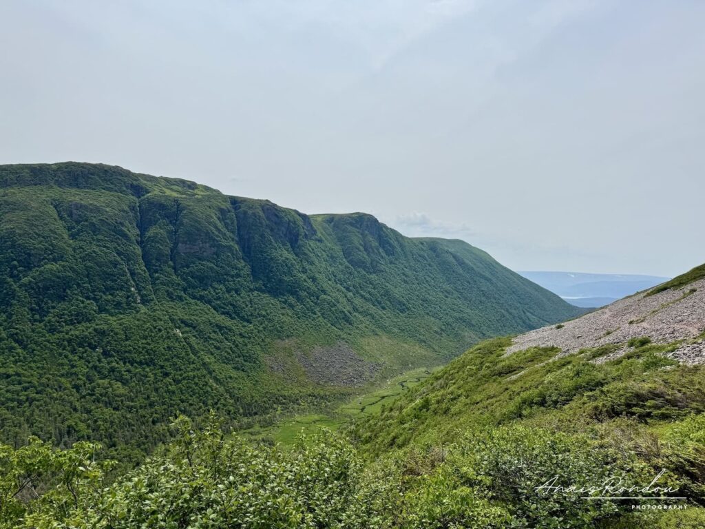 Vallée verdoyante observée depuis la descente du Mont Gros-Morne