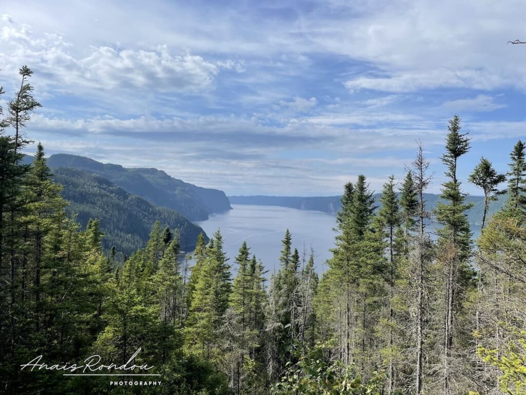 Vue sur le Fjord-du-Saguenay au Québec depuis le point de vue Anse à Tabatière