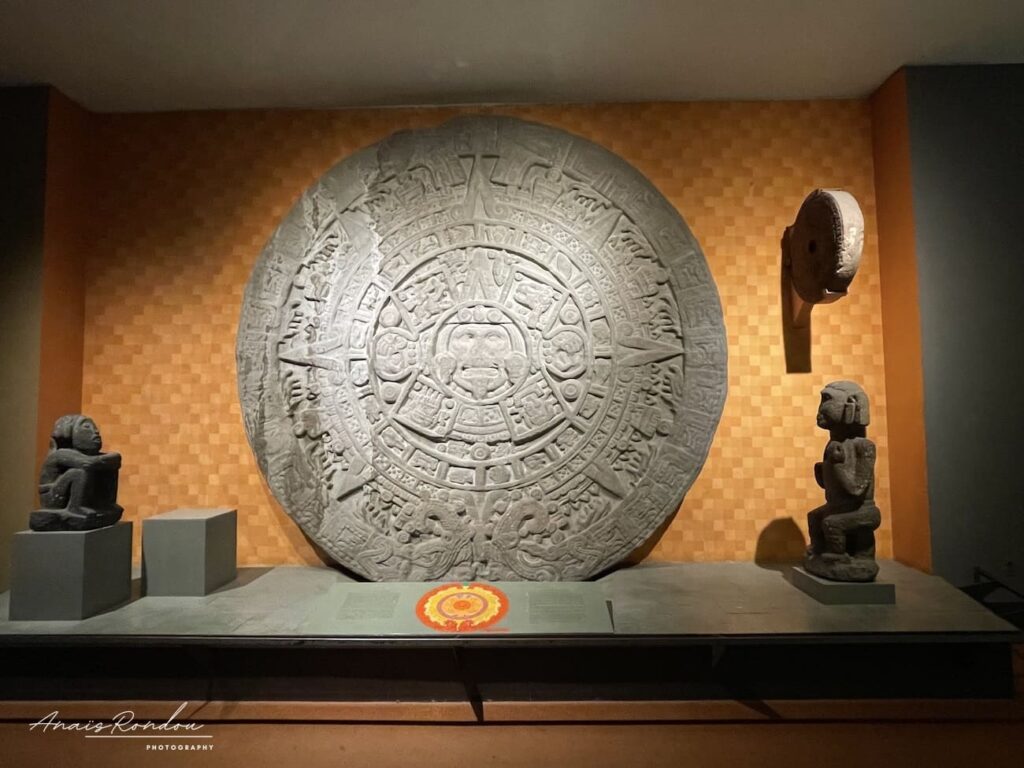 Exposition d'histoire dans le musée américain d'histoire naturelle à New York