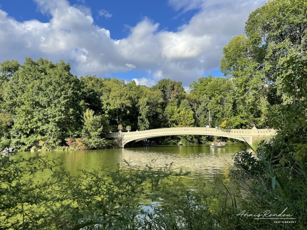 Pont au coeur de la végétation de Central Park à New York