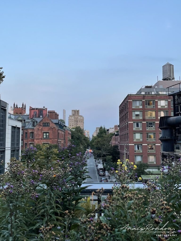 Vue sur un quartier industriel de New York depuis la High Line