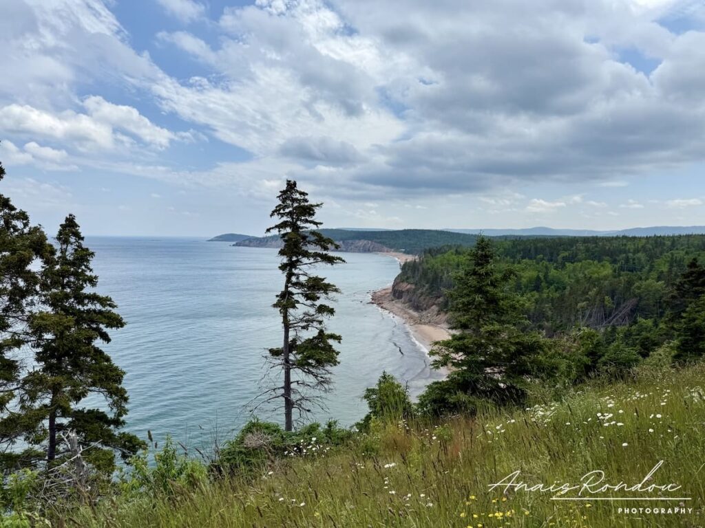 Panorama depuis la Cabot Trail avec l'océan Atlantique et des plages et forêts