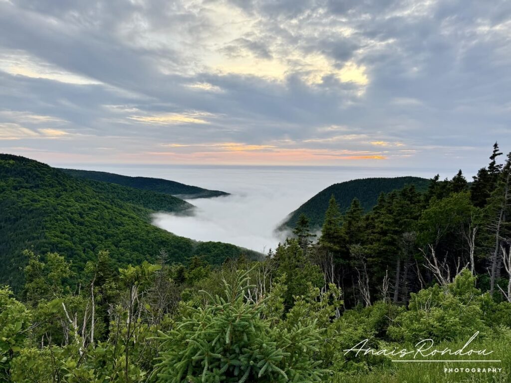 Paysage de montagnes et forêts vertes avec quelques nuages bas au parc national des Hautes-terres-du-Cap-Breton