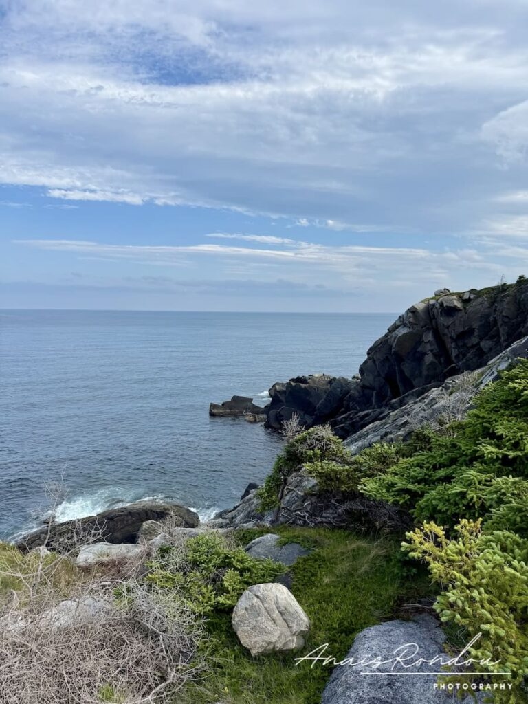 Falaises et verdure au bord de l'océan depuis le Middle Head Trail aux Hautes-Terres-du-Cap-Breton