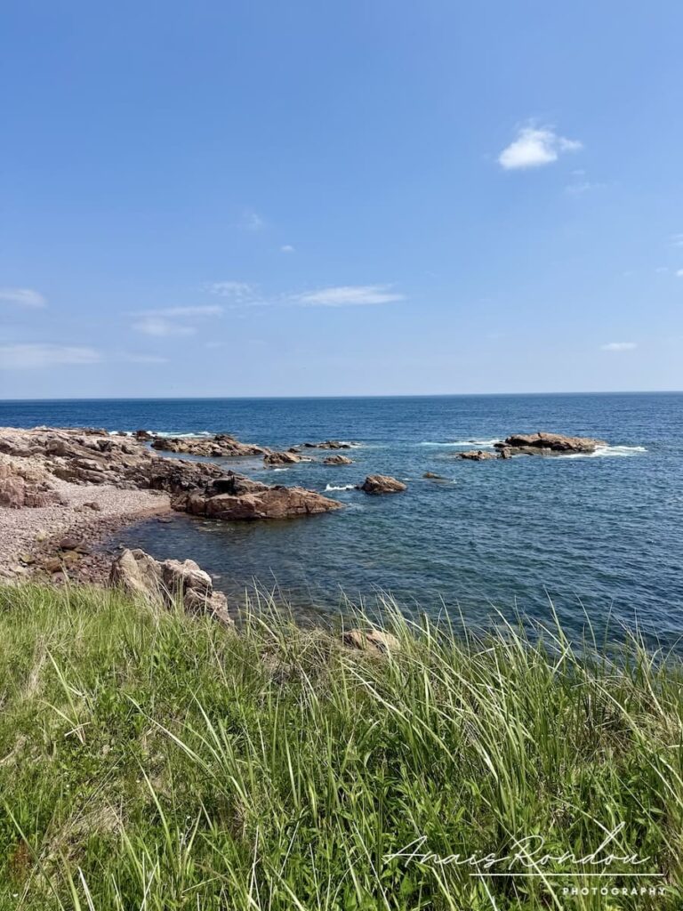 Vue sur la côte rocheuse de Neil's Harbour en Nouvelle-Écosse