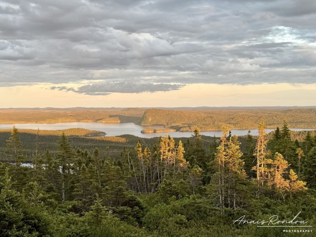 Belvédère Blue Hill Terra-Nova Vue au coucher de soleil sur le parc national Terra-Nova et ses collines aux teintes oranges