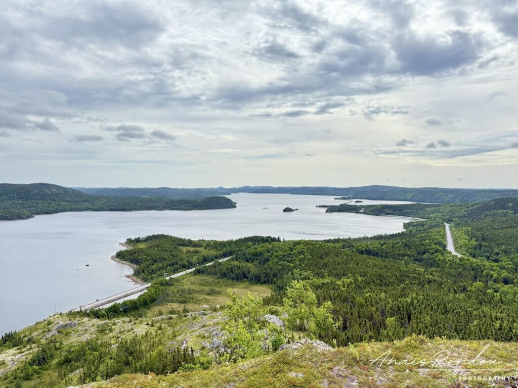 Belvédère Mill-Cove à Terra-Nova Vue sur un lac et des forêts depuis le belvédère Mill-Cove au parc national Terra-Nova