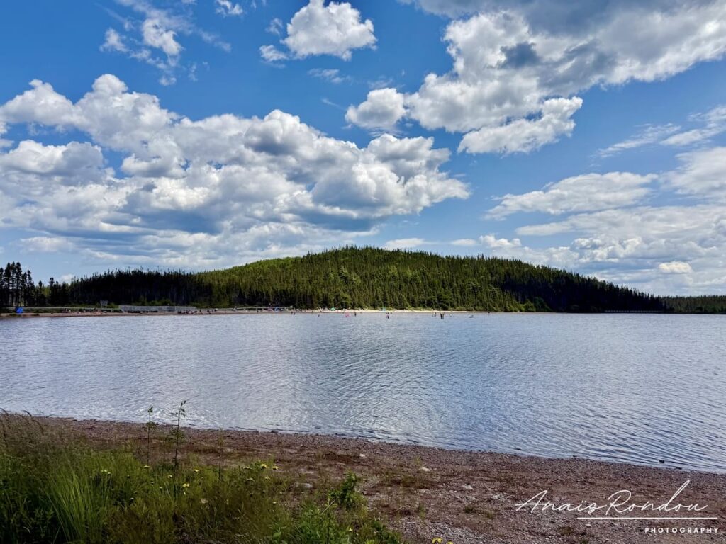 Étang Sandy au parc national Terra-Nova Étang Sandy au parc national Terra-Nova avec une plage et une forêt de sapins