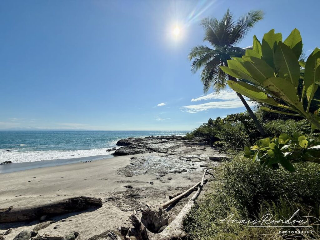 Plage sauvage de Montezuma avec son ciel bleu et sa végétation