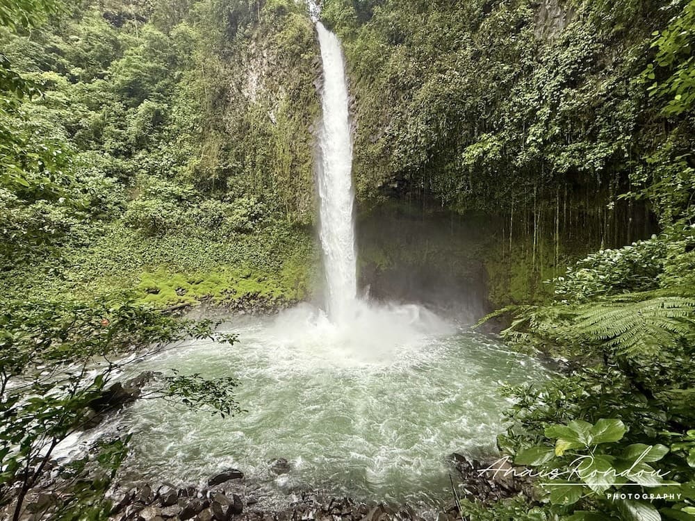 Cascade qui se jète dans un bassin d'eau au coeur de la jungle costaricaine à la Fortuna