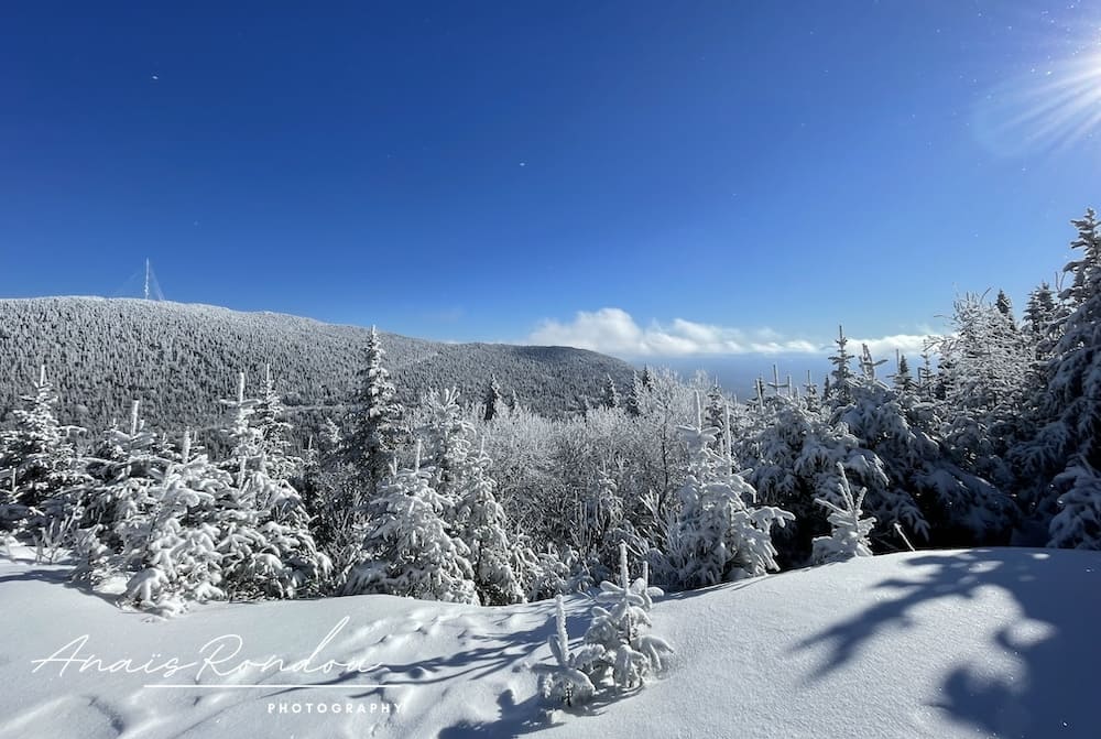 Randonnée d'hiver au Québec Paysage enneigé lors d'une randonnée d'hiver au Mont Mégantic au Québec