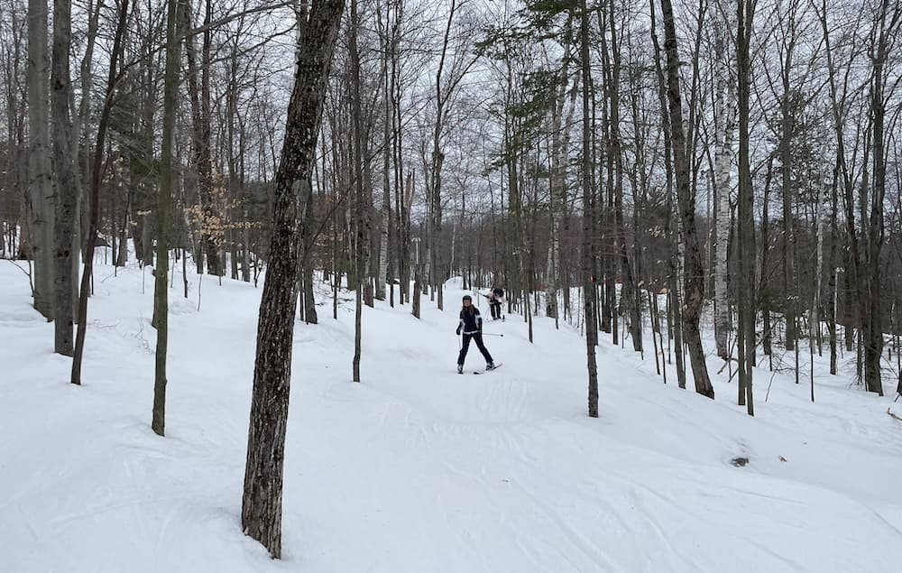 ski activité d'hiver au Québec Personne qui skie dans une forêt en hiver au Québec