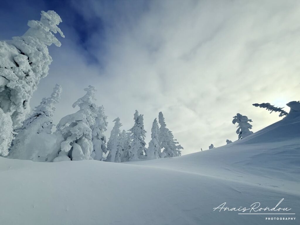 vallee-fantomes-hiver-quebec Arbres et sol recouverts d'une grosse couche de neige à la vallée fantômes au Québec