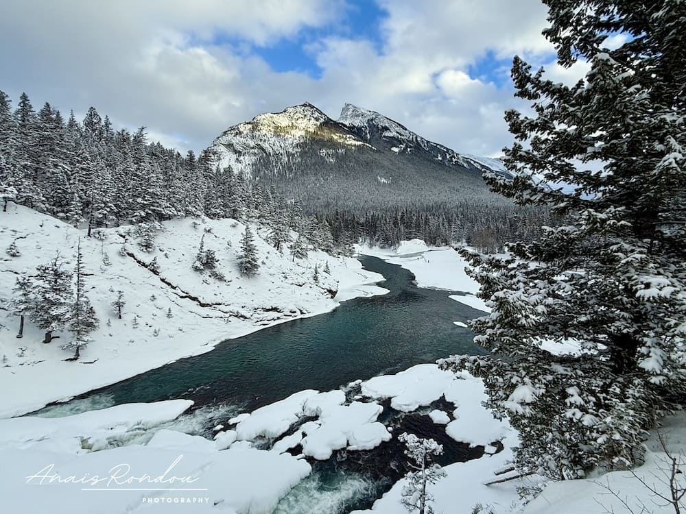 Chutes Bow vues d'en haut avec le mont Rundle en arrière plan
