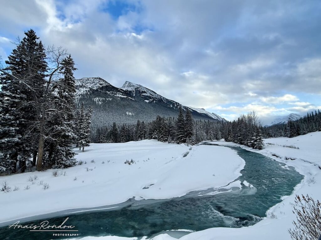 Rivière Bow aux couleurs bleues entourée de neige et de sapin à Banff en hiver