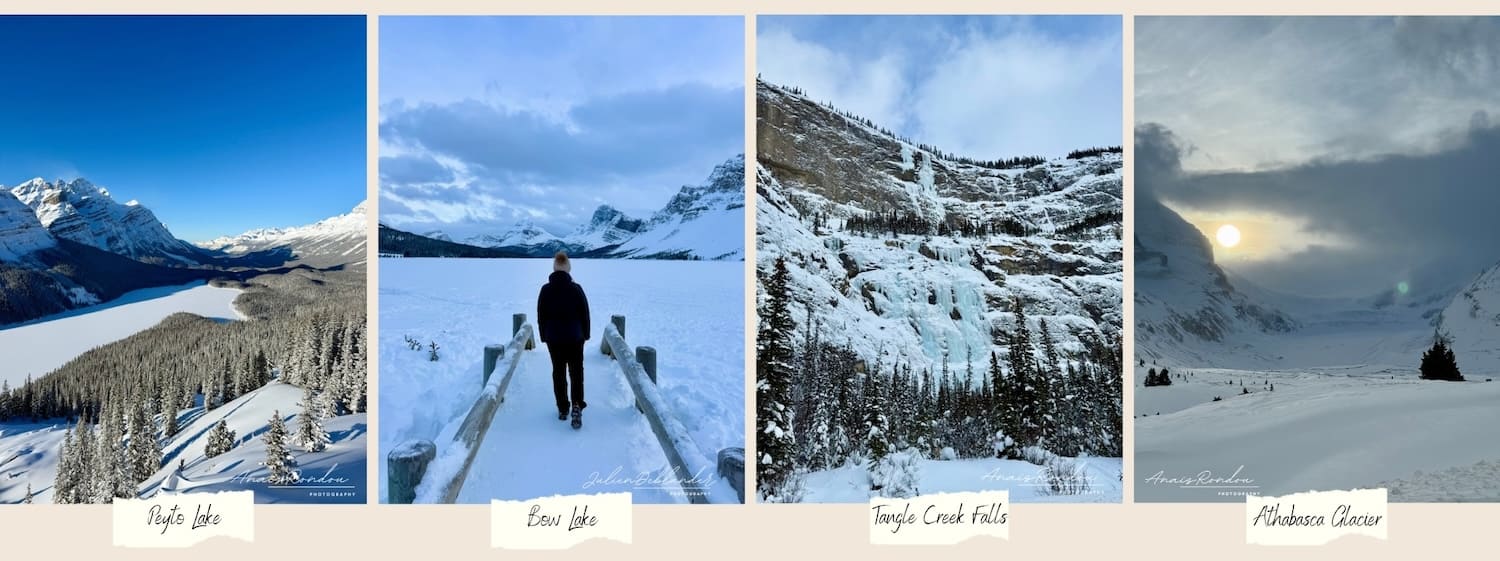 Route des glaciers en hiver Montage photos de divers lieux d'intérêt à Banff dont Peyto Lake, Bow Lake, Tangle Creek Falls et Athabasca Glacier