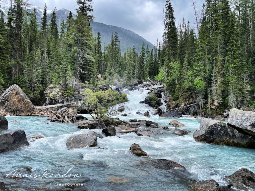 Belvédère de la convergence des eaux au parc national de Yoho