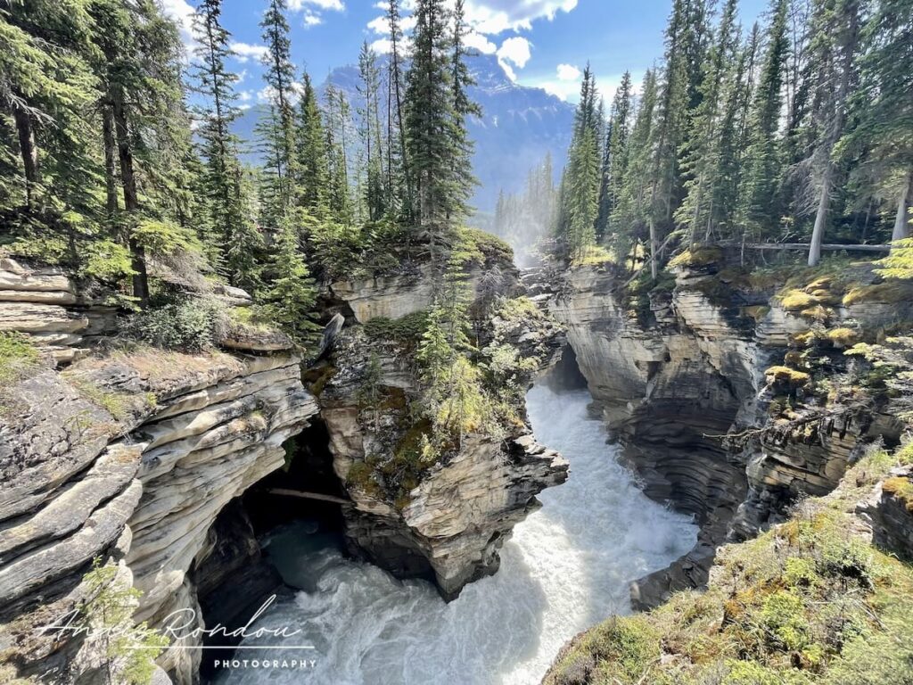 Canyon des chutes Athabasca au parc national de Japser