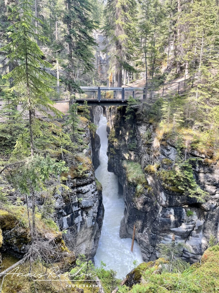 Portion étroite du canyon Maligne à Jasper bordé de végétation