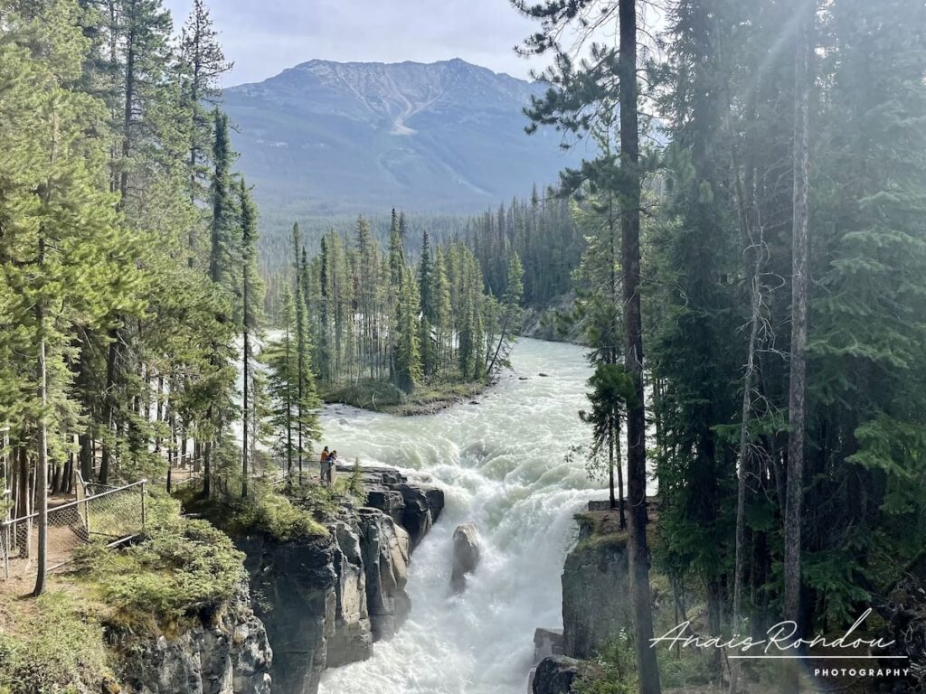 Chute supérieure des chutes Sunwapta au parc national de Jasper