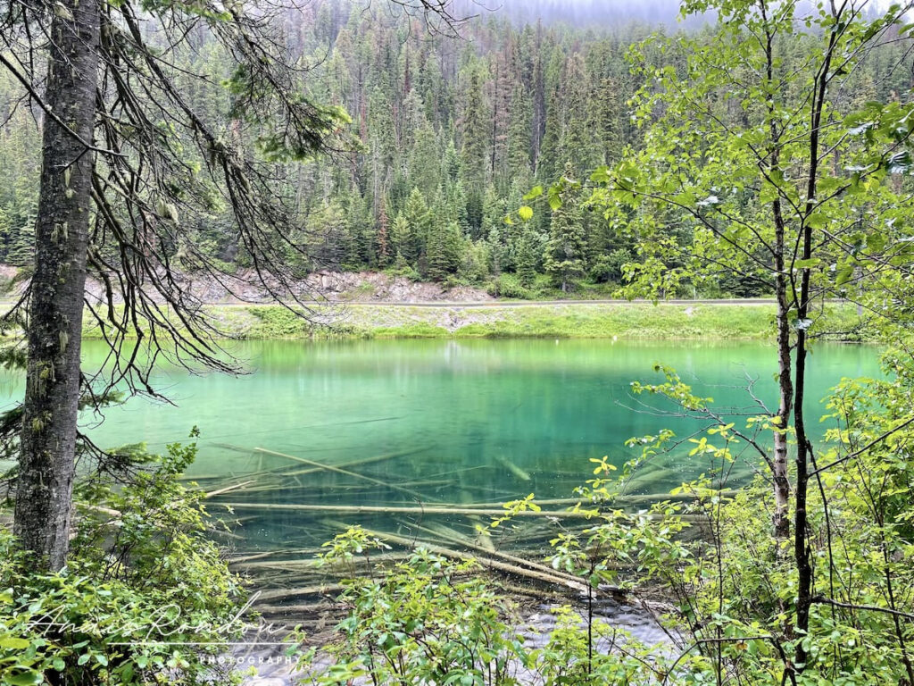 Lac Olive entouré de forêt et sous les nuages dans le parc national de Kootenay
