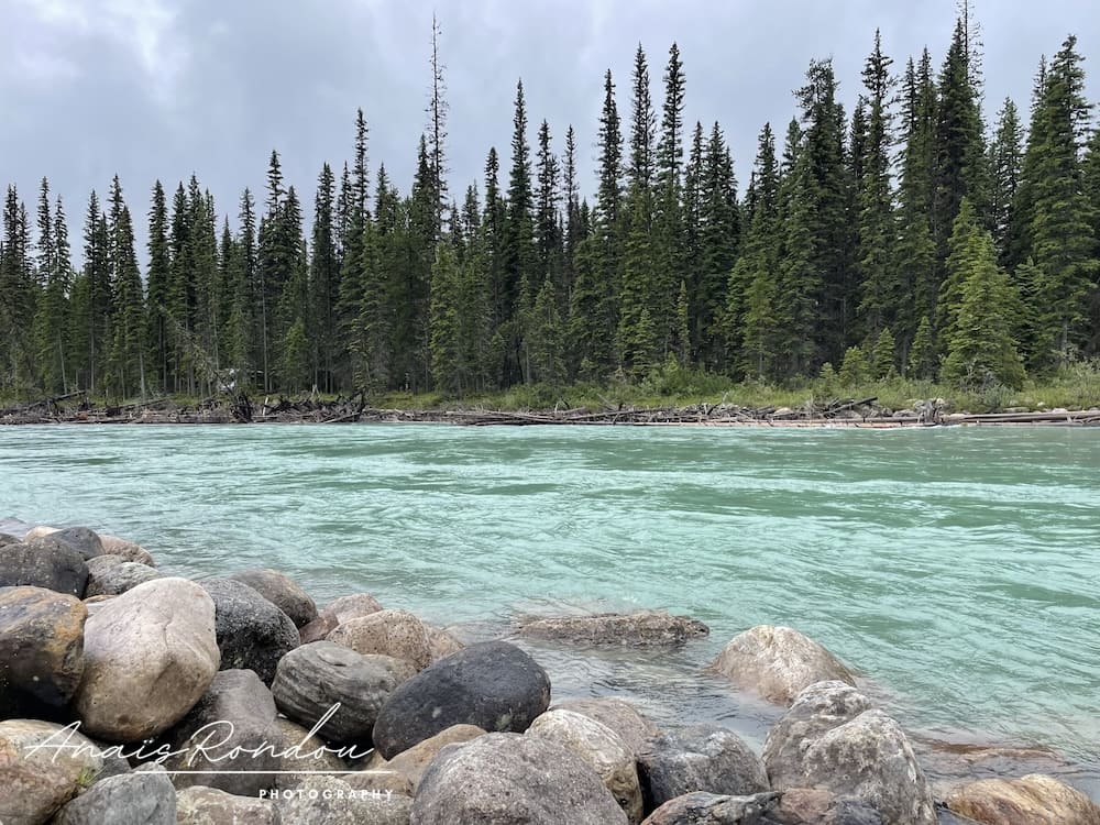Eau bleue de la rivière Kootenay dans les Rocheuses Canadiennes