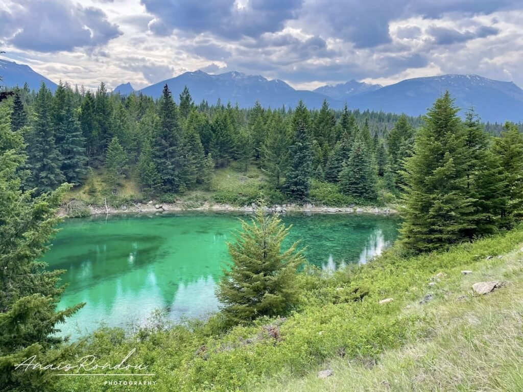 Lac bleu-vert dans la vallée des 5 lacs du parc national de Jasper