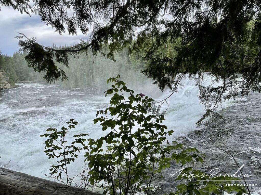 Dawson Falls vues de près au parc de Wells Gray