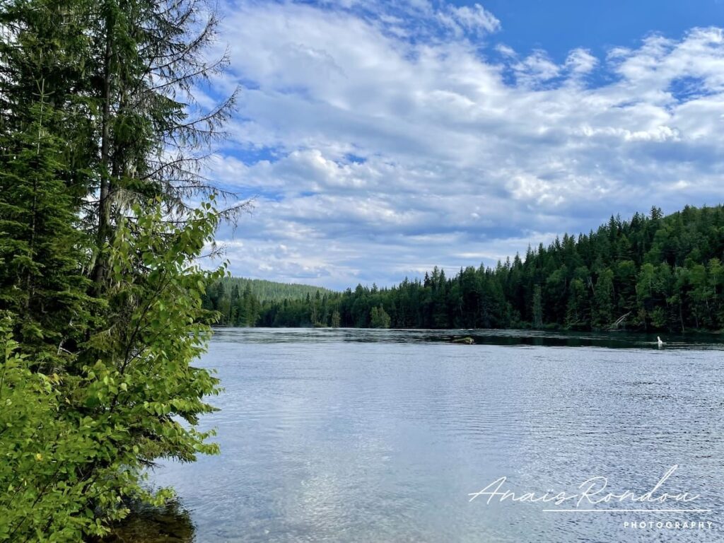Lac Clearwater entouré de sapins au parc provincial de Wells Gray