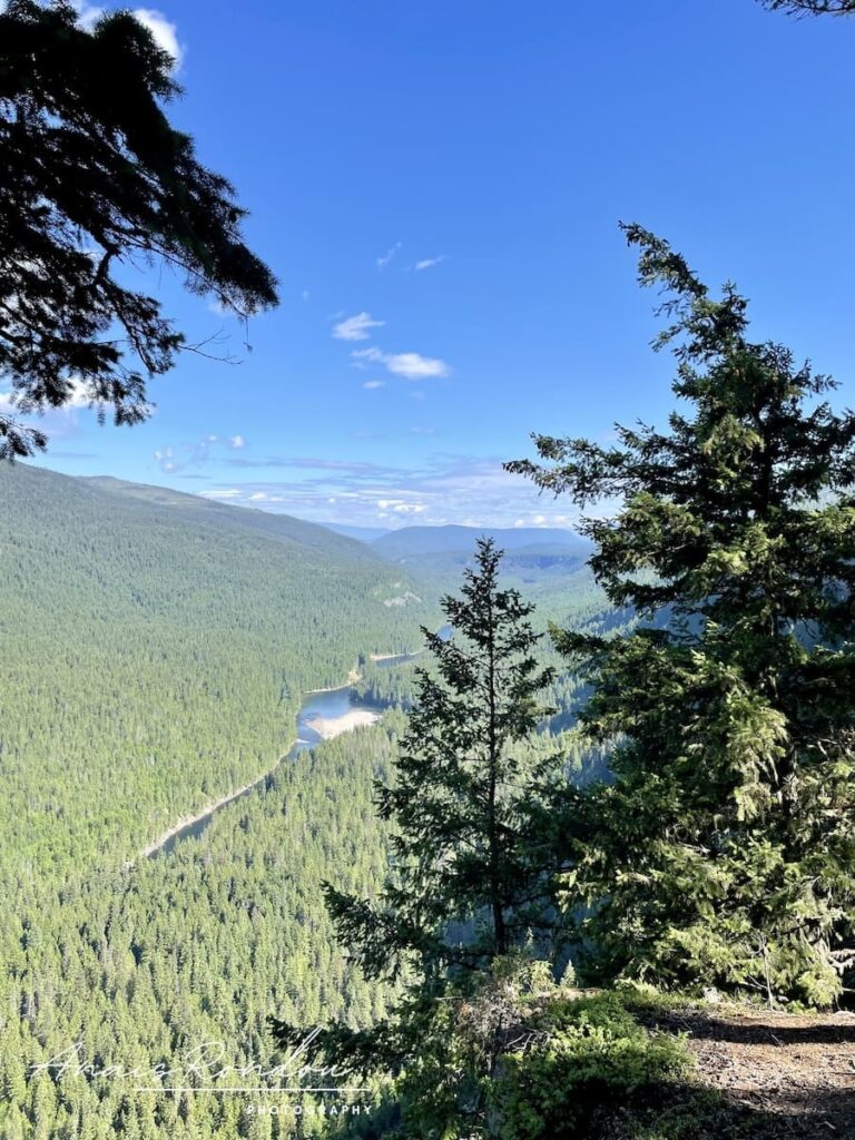 Paysage du parc provincial de Wells Gray près de la chute Spahat