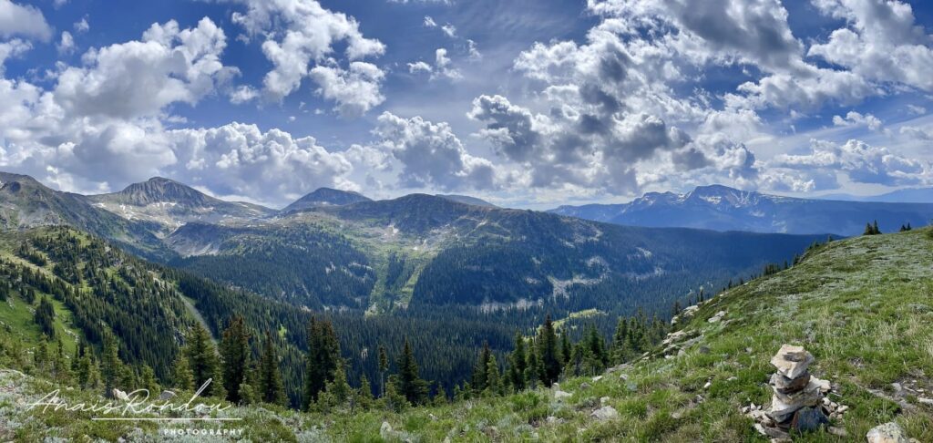 Vue sur les montagnes depuis le sommet de la randonnée Trophy Meadow à Wells Gray